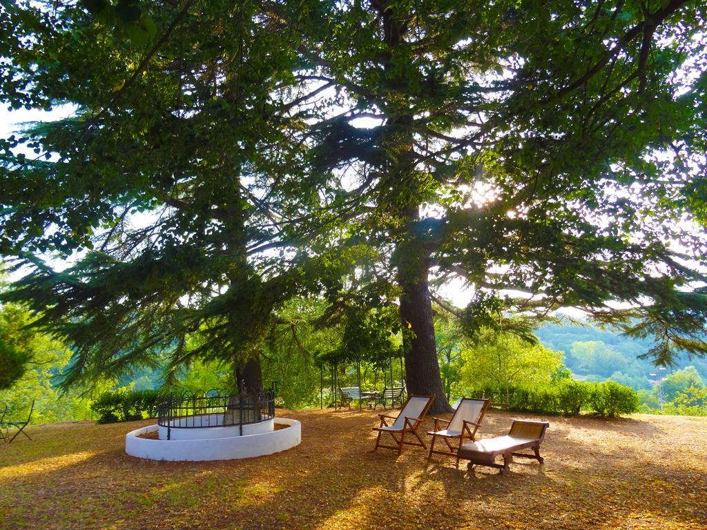 Bed and Breakfast La Celestina Piana Crixia Esterno foto