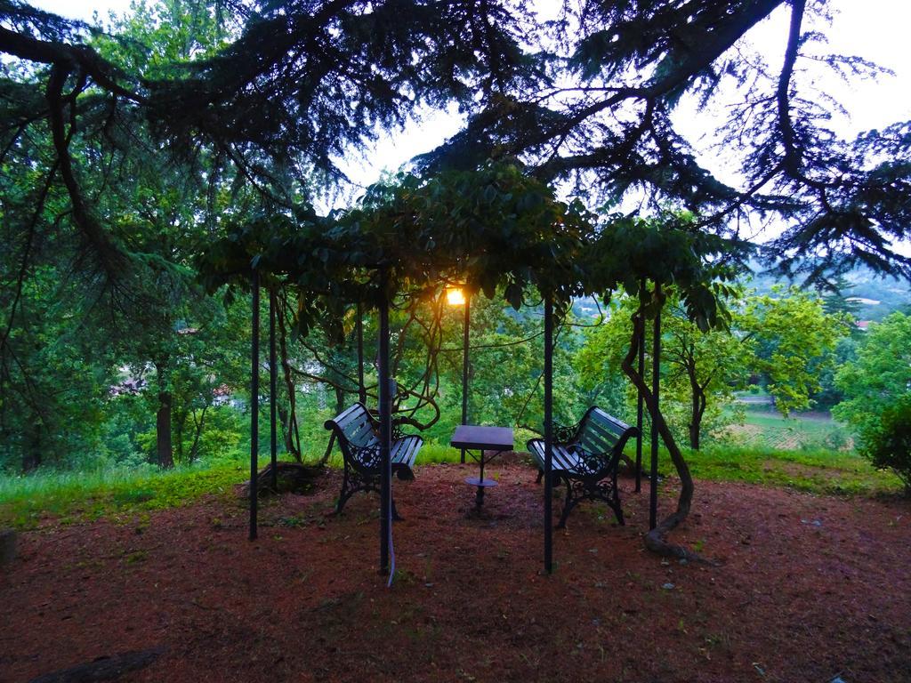 Bed and Breakfast La Celestina Piana Crixia Esterno foto